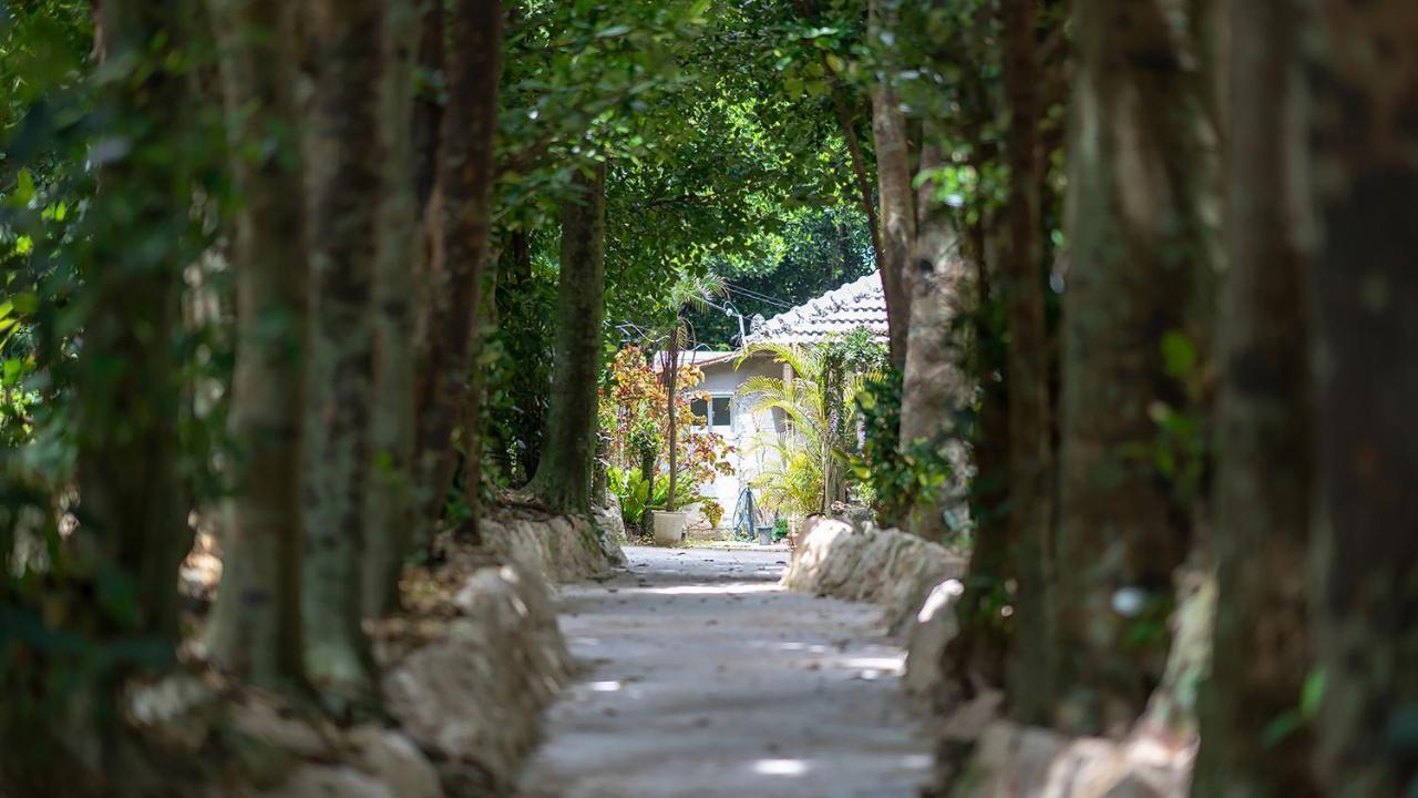 La Ohana～瀬底島～（2022年open） Okinawa Luaran gambar